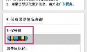 广州网上查个人社保密码是什么？如何微信查询？