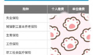 广州社保个人缴费明细查询方法(图解)