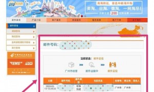 广州穗康口罩快递物流信息查询指南（入口+流程）