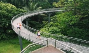 广州首条空中步道免费开放 从中山纪念堂直达白云山