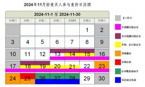 2024年11月广州车牌竞价日历图