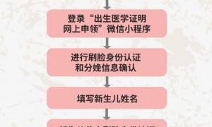 广州出生证可以母亲自己办理吗？