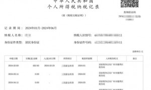 2024广州纳税记录如何开具？